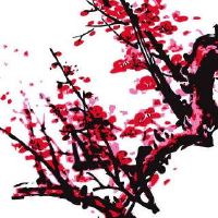 手机尾号813数字能量 免费招财大吉数理宝典