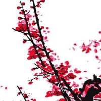 手机尾号4931数字能量 最新富贵好运靓号推荐