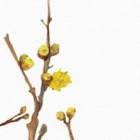 今日五行穿衣色查询:2022年6月29日幸运色指南