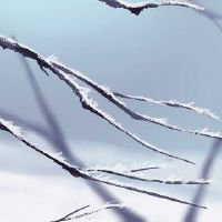 2022岁，几天的恒词算法，四十