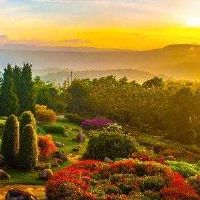 夫妻和妻子，诚实和特点