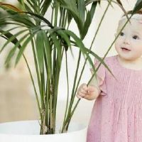 姓谢的女孩名字大全 最好听的谢姓女宝宝名字推荐