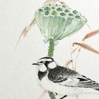 17风水最吉利的数字 车牌组合的吉凶风水