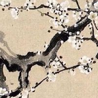 猪年生人2022年运势及运程 来看看属猪人有哪些好运