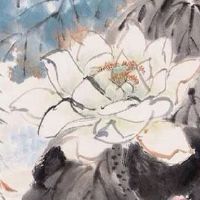 属猪几月生最有福气 一月猪最享清福