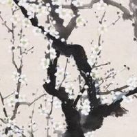 83年属猪39和40岁命运 熬过这一年就能转运