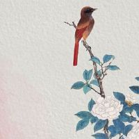 本命年事事不顺怎么化解 心态好才能解决万事不顺