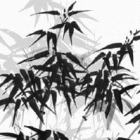 结婚后第一天能回门吗 回门宜穿着得体