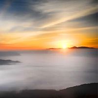 我可以去寺庙在2022年6月15日在寺庙祈祷吗？