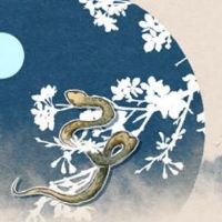 它属于蛇年度2022年（2022人全年财富）