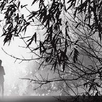 婚姻红色盒子里的具体是什么？