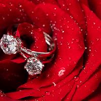 2022年月历5月18日是你可以结婚的那一天？两个人婚姻提案