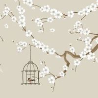 00开头车牌含义 尊贵圆满的车牌数字