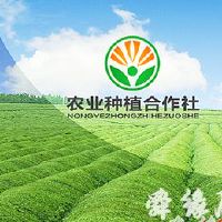 农业合作社名字取什么好-农业合作社起名-名字大全