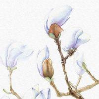 本命年化太岁有效的方法 本命年行事端正有好报