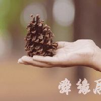 家族成员统一名字格式