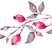 本命年运气差怎么办 本命年躲春成功运气佳