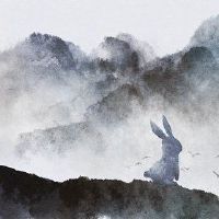 在2023年，兔子人穿着最适合的东西