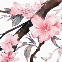 八字合婚多少分比较好 合婚有哪些注意事项