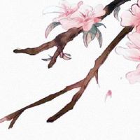 算八字合了六个字好吗 五行阴阳影响婚姻状况