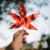 2019最好听的微信网名