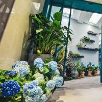 高端的花店名字大全