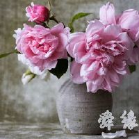 古典一点的花店名字