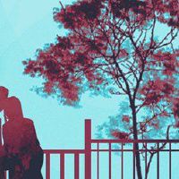 婚礼包装是什么意思？