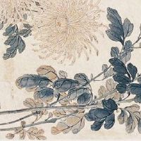 数字能量最好的手机号码 易招桃花数组推荐