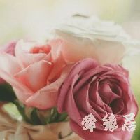 qq分组简单唯美