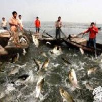 水产商铺起名大全