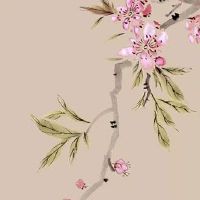 为啥车牌尾号1的特别少 充满力量的车牌尾数