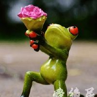 旅行青蛙取什么名字