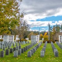 2022年月历6月25日，黄历，有牺牲吗？