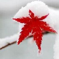 2019年猪年大雪出生男孩吉祥和祝福名称100点！