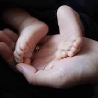 2018徐姓狗婴儿名字被命名，狗被命名为徐宝