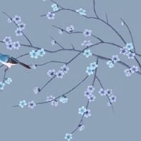 车牌号尾数是4好不好 热门车牌尾数详解