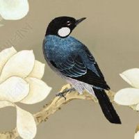 车牌号带3好不好 保平安发财的车牌数字