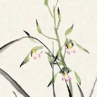 五行缺水适合留长发吗 五行缺水的女生善于把握人心