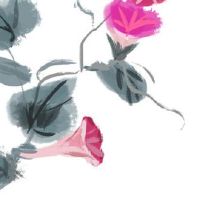 2022年适合属虎的人创业吗 本命年做生意好吗