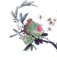 本命年的运气是好还是坏 本命年运气坏的原因