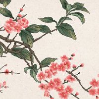 为何本命年运势较差 诚心拜香改善坏运气