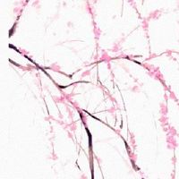 合婚姻八字能合几个字为好 日柱相冲婚姻不幸福