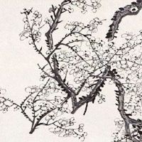 2022年医疗器械产品名称 独特高尚的名字