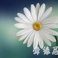 好听又个性的微博昵称