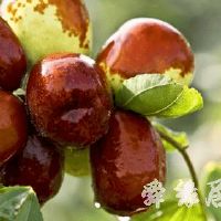 土特产店名大全