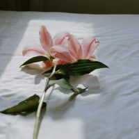 在什么情况下，你能坚定地告诉你的恋人吗？