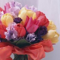 2022年6月14日可以结婚吗 是不是黄道吉日