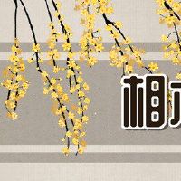 妇女的面部算法寿命说明了眼睛的黑白点