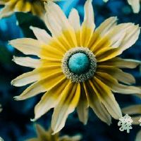 有意境的花店名字